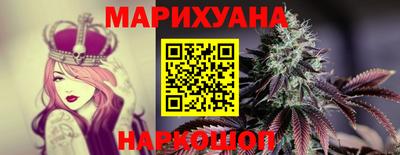 крисы Будённовск