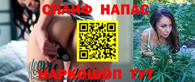 крисы Будённовск