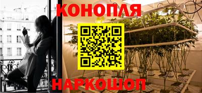 крисы Будённовск