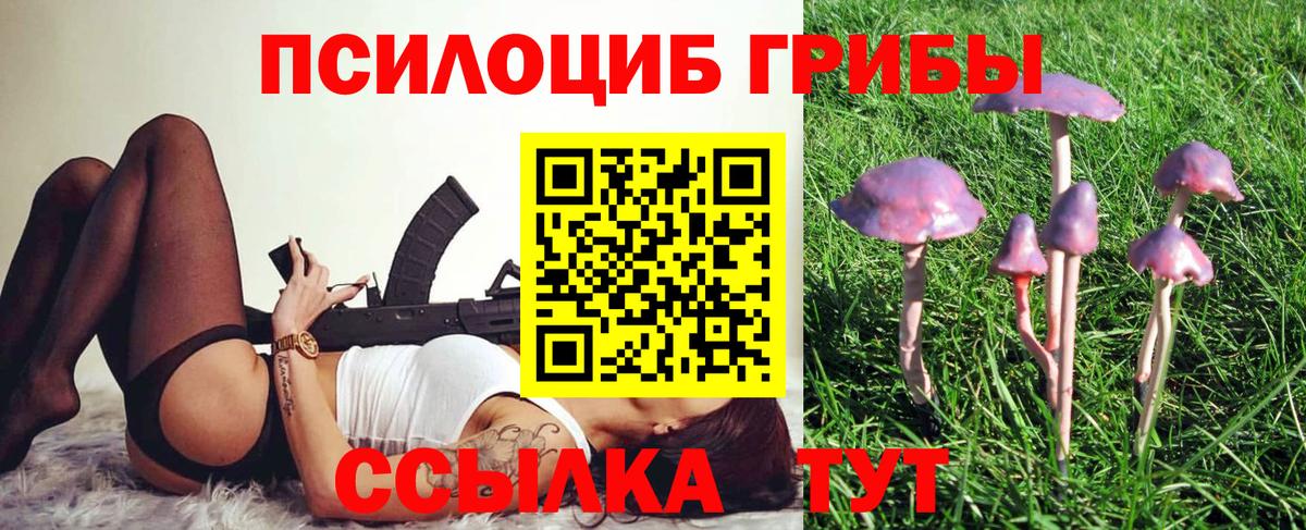 Псилоцибиновые грибы мухоморы Новочеркасск